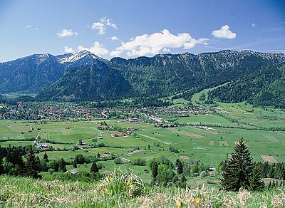 Champagnerträume