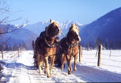 Pure Weihnachten im Ammertal