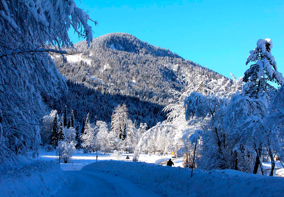 Ihre Winterwander- und Natur pur im Naturpark Ammergauer Alpen