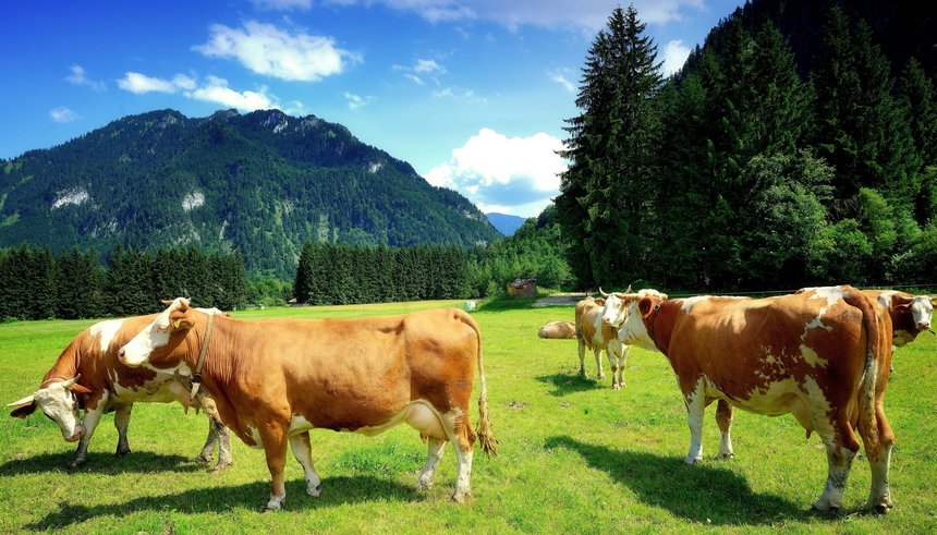 Genießen Sie die idyllische Lage inmitten der wundervollen oberbayerischen Landschaft
