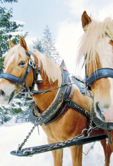 Weihnachten in Oberammergau