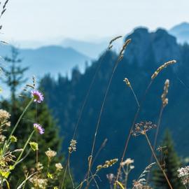 Bergtour - Ettaler Manndl mit Klettersteig