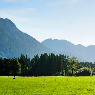 Ammergauer Alpen Bergluft 