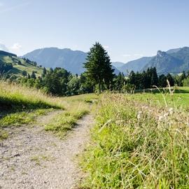Der Benedikt-Pilgerweg im Naturpark Ammergauer Alpen